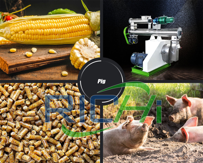 animal poultry feed pellet Mill (2) (700x562, 616Kb)