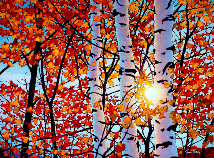 Golden-Light-Algonquin-Tim-Packer (700x518, 784Kb)