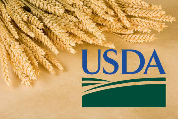 usda-wheat2 (700x466, 141Kb)