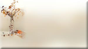  (300x169, 9Kb)
