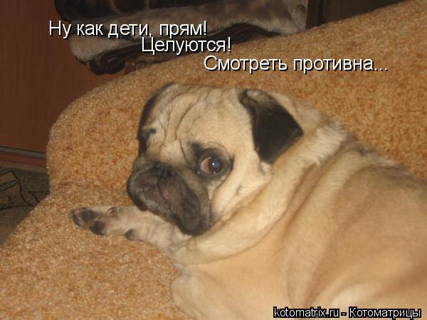 4743317_vB (600x450, 40Kb)