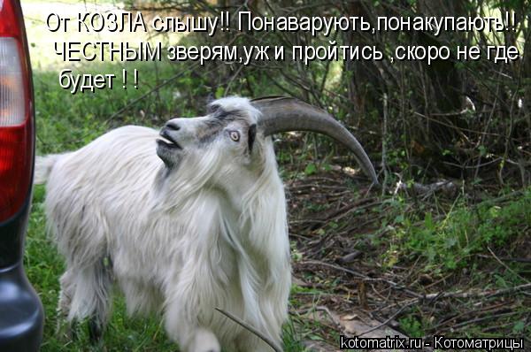 4743317_rQ (600x398, 56Kb)