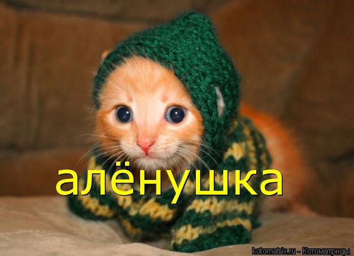 4743317_rK (700x505, 39Kb)