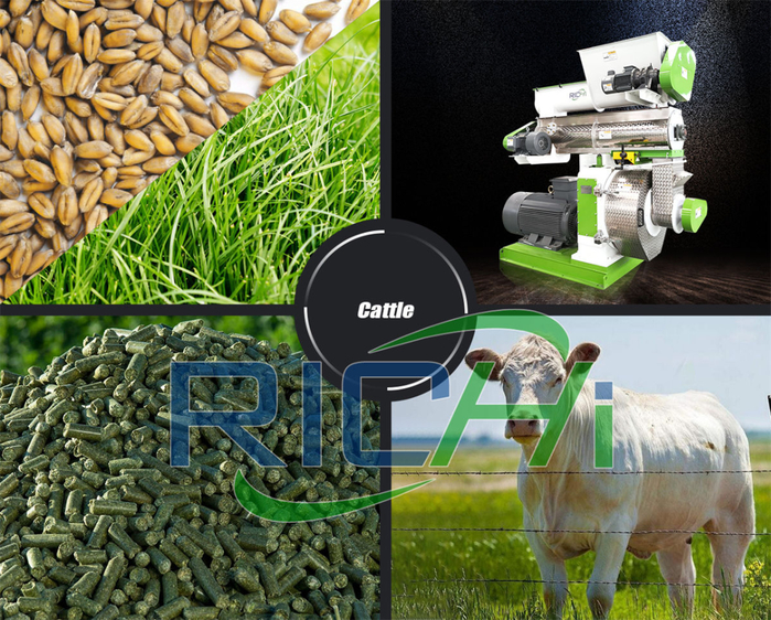 cattle feed pellet machine price (700x562, 557Kb)
