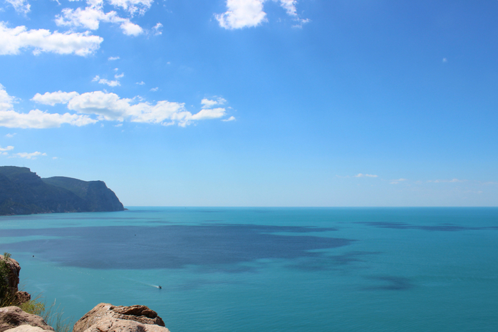 IMG_8054 (700x466, 320Kb)
