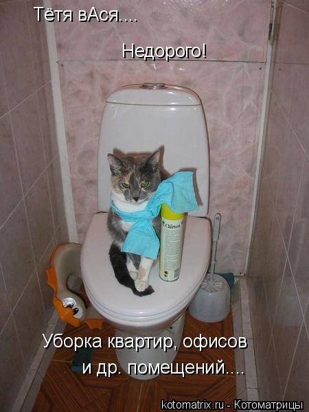 4743317_Qy (450x600, 39Kb)