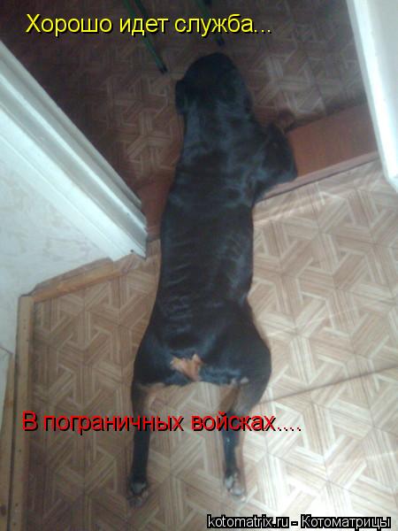 4743317_qv (450x600, 35Kb)