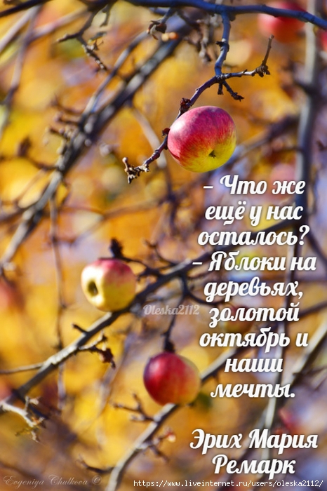 quote-2022-10-15-448b88a5acf84baac2a13d6d43cb3be2 (466x700, 269Kb)