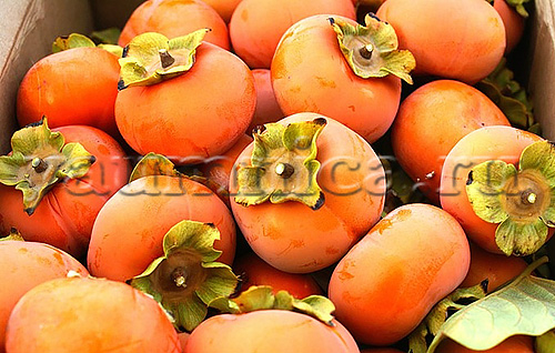 Aromatnoe varenje iz khurmih (500x318, 227Kb)