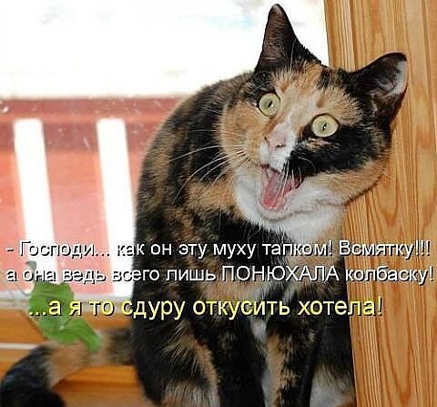 4743317_image20221014_07_32_47 (480x447, 55Kb)