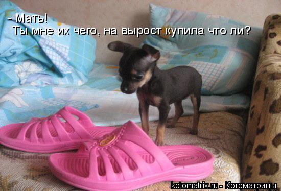 4743317_zr (550x374, 37Kb)