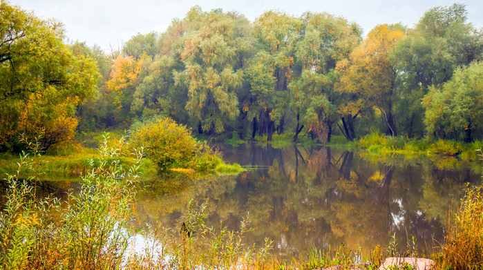 Сергей  Викулов . (700x391, 473Kb)