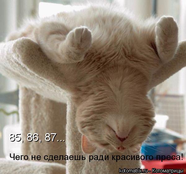 4743317_qb (600x559, 43Kb)