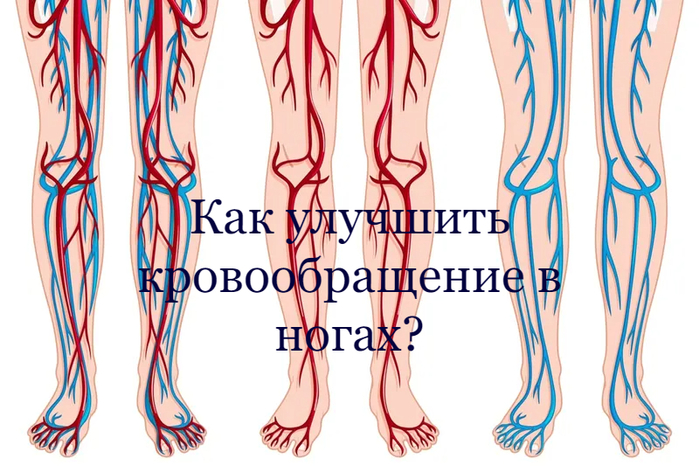 Кровообращение в ногах. Улучшить кровообращение в ногах. Покажите в картинках кровообращение в ногах. Как улучшить кровообращение в ногах.