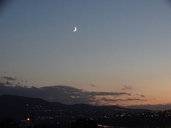 DSC00346 (700x525, 283Kb)