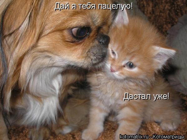 4743317_Az (600x450, 42Kb)