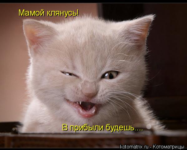 4743317_jQ (600x480, 36Kb)