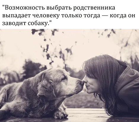 4743317_i_jpegiii (469x411, 54Kb)