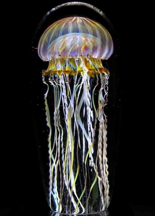 passion-moon-jellyfish.-rick-satava-736x1024 (503x700, 209Kb)