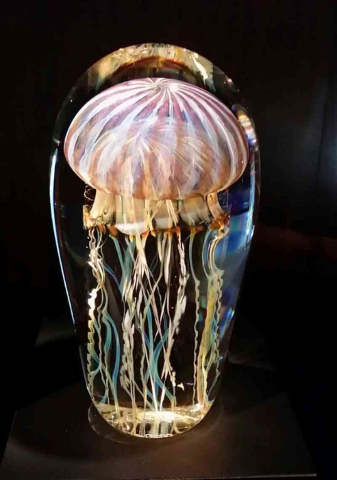 purple-ribbed-jellyfish.-rick-satava-720x1024 (492x700, 229Kb)