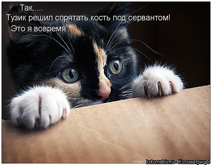 4743317_kI (696x542, 61Kb)