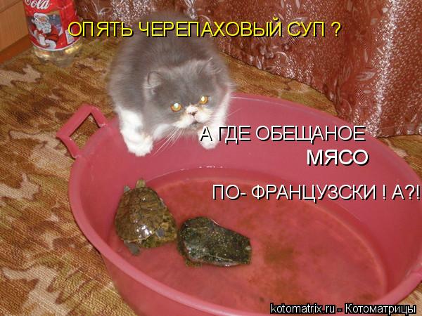 4743317_tr (600x450, 55Kb)