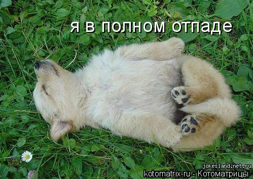 4743317_oN (499x353, 52Kb)