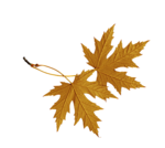 листья (150x134, 18Kb)