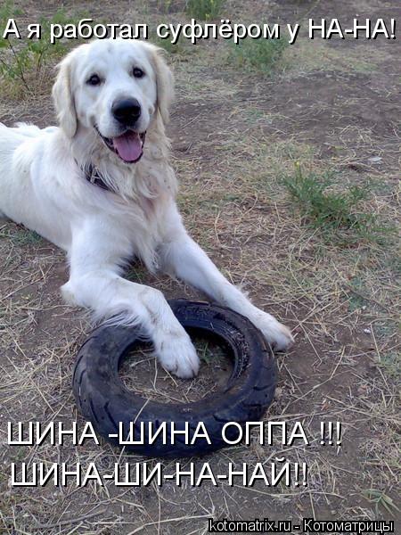 4743317_sa (450x600, 74Kb)