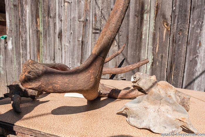 01_paleontolog_vaskovo (700x466, 450Kb)