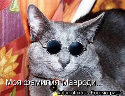 4743317_fD (400x308, 29Kb)