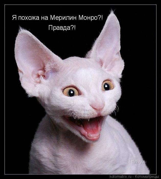 4743317_1g (630x700, 42Kb)