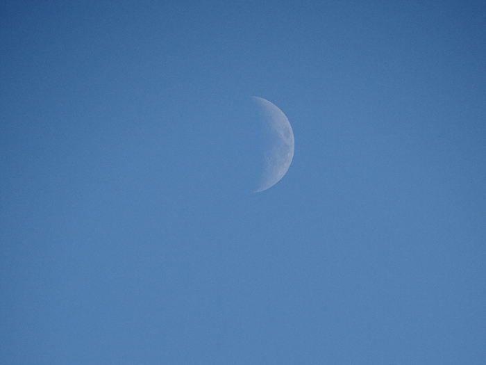 DSC00519 (700x525, 211Kb)