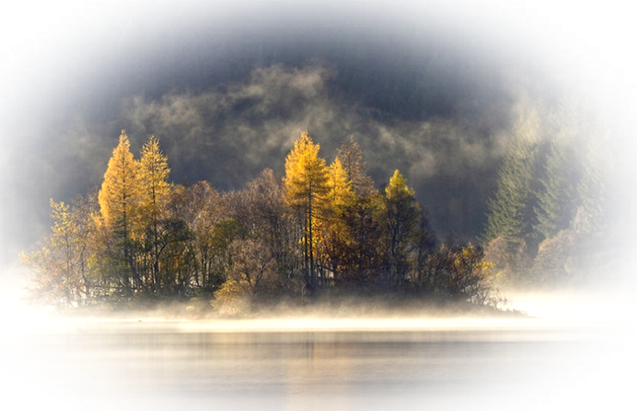 4083308_06c8a23888e42f7030aabe08b0271384 (700x451, 555Kb)
