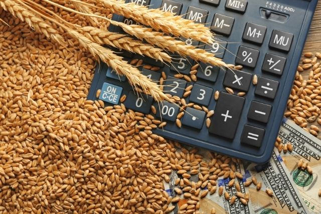 graincost (640x427, 94Kb)