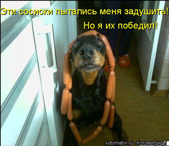 4743317_Bs (577x500, 48Kb)
