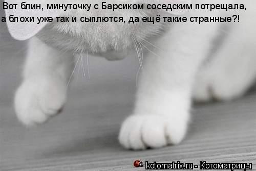 4743317_G3 (500x335, 20Kb)