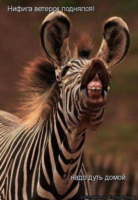 4743317_gZ (483x700, 54Kb)