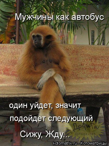 4743317_Y (419x560, 53Kb)