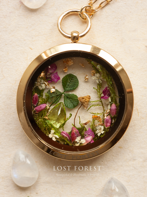 ©+LOST+FOREST+_+LOST-FOREST (1) (500x667, 514Kb)