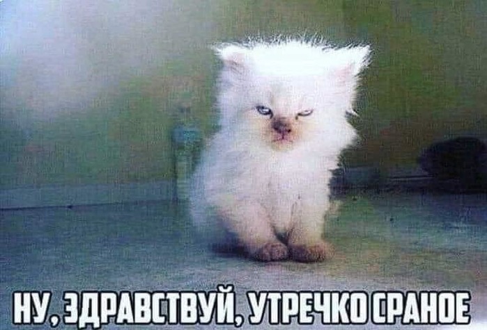   (700x475, 83Kb)