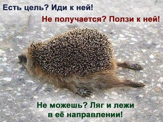  (528x396, 114Kb)