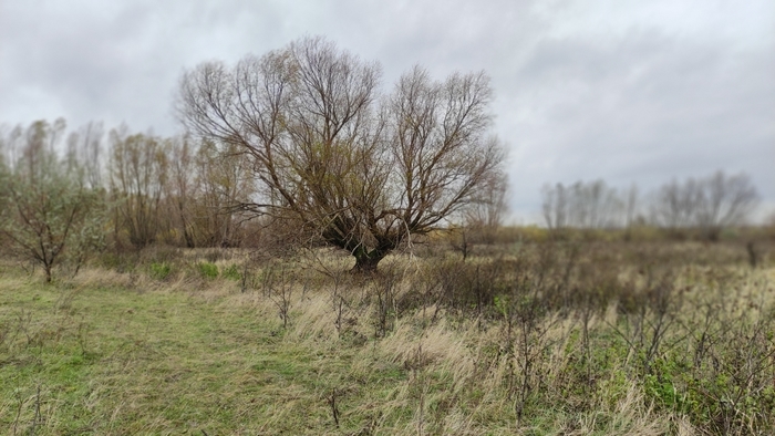 3922583_1668345290687 (700x394, 214Kb)