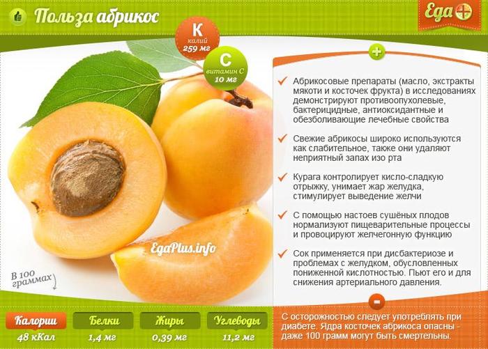 apricot-benefit (700x501, 70Kb)