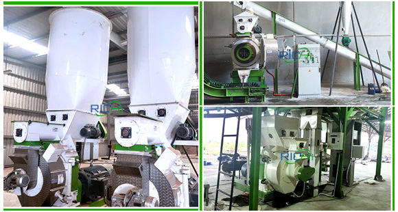 pelletizing system of wood pellet mill line (580x310, 150Kb)