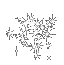 1 (2) (64x65, 14Kb)