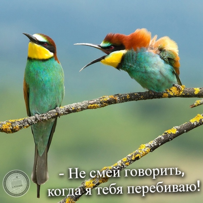NeSmeyGovorit-23.11.2022+ (700x700, 167Kb)