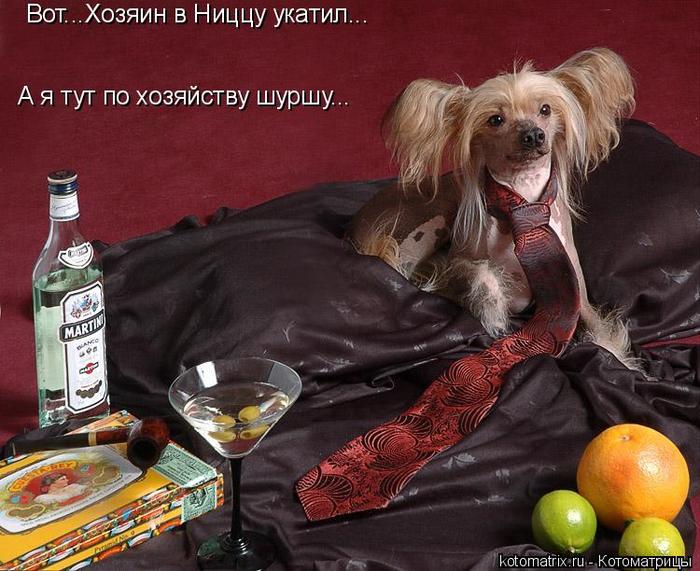 4743317_bK (700x571, 72Kb)
