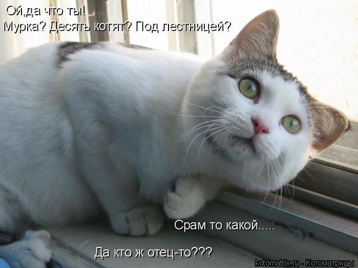 4743317_G_1 (700x524, 42Kb)