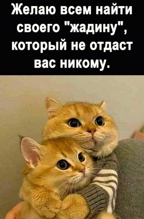 5402287_b1e3bb6a4a973acb455c759d1662d900 (459x700, 201Kb)